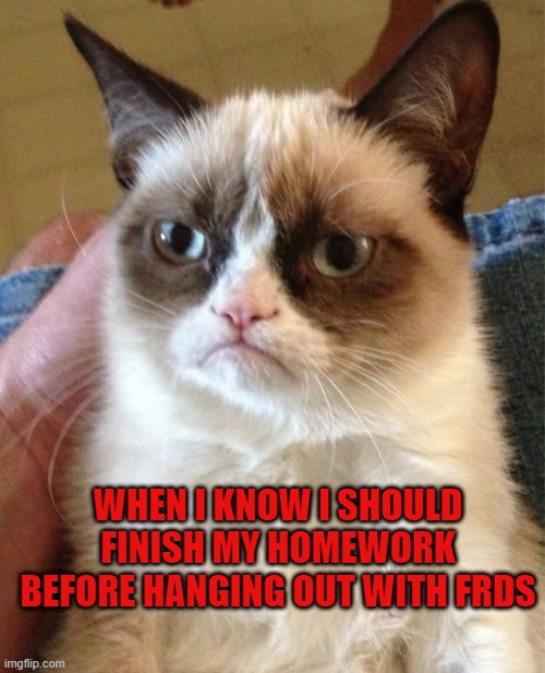Grumpy Cat Meme | WHEN I KNOW I SHOULD FINISH MY HOMEWORK BEFORE HANGING OUT WITH FRDS | image tagged in memes,grumpy cat | made w/ Imgflip meme maker