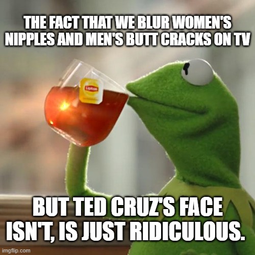 But That's None Of My Business | THE FACT THAT WE BLUR WOMEN'S NIPPLES AND MEN'S BUTT CRACKS ON TV; BUT TED CRUZ'S FACE ISN'T, IS JUST RIDICULOUS. | image tagged in memes,but that's none of my business,kermit the frog | made w/ Imgflip meme maker