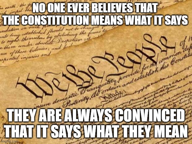 Constitution | NO ONE EVER BELIEVES THAT THE CONSTITUTION MEANS WHAT IT SAYS; THEY ARE ALWAYS CONVINCED THAT IT SAYS WHAT THEY MEAN | image tagged in constitution | made w/ Imgflip meme maker