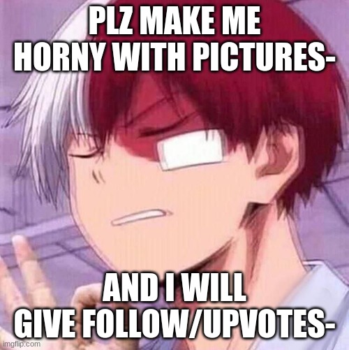 plzzzzzz | PLZ MAKE ME HORNY WITH PICTURES-; AND I WILL GIVE FOLLOW/UPVOTES- | image tagged in todoroki | made w/ Imgflip meme maker
