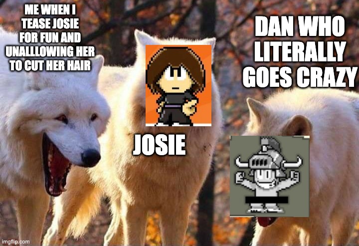 Dan The Man Stage 6 Wronged In A Nutshell | ME WHEN I TEASE JOSIE FOR FUN AND UNALLLOWING HER TO CUT HER HAIR; DAN WHO LITERALLY GOES CRAZY; JOSIE | image tagged in laughing wolf,dan the man,josie dan the man,memes,funny,funny memes | made w/ Imgflip meme maker