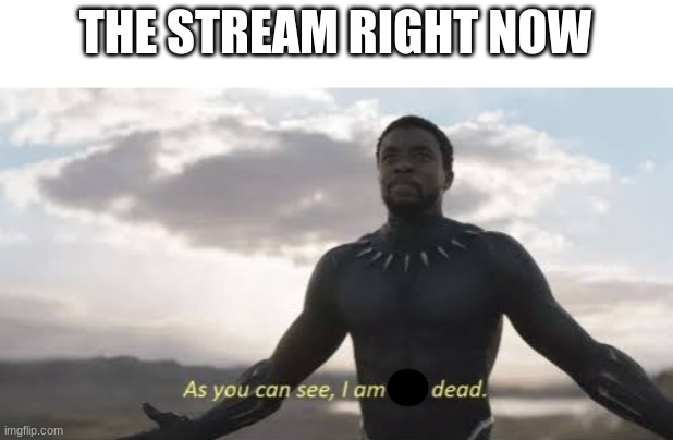 As you can see, i am not dead | THE STREAM RIGHT NOW | image tagged in as you can see i am not dead | made w/ Imgflip meme maker