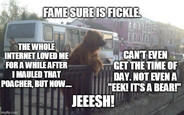 fame is fickle for a bear |  FAME SURE IS FICKLE. THE WHOLE INTERNET LOVED ME FOR A WHILE AFTER I MAULED THAT POACHER, BUT NOW.... CAN'T EVEN GET THE TIME OF DAY. NOT EVEN A "EEK! IT'S A BEAR!"; JEEESH! | image tagged in memes,city bear,fame | made w/ Imgflip meme maker