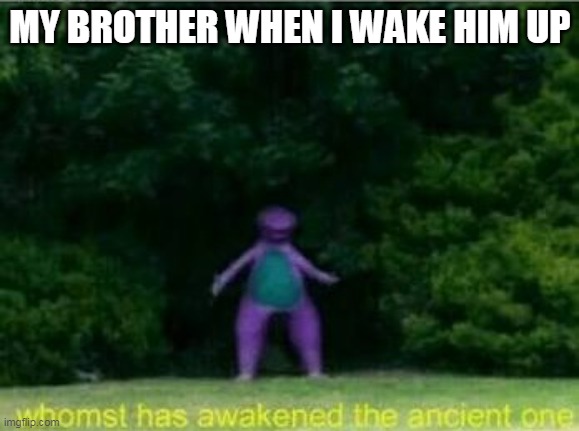 he sleeps 25 hours a day | MY BROTHER WHEN I WAKE HIM UP | image tagged in whomst has awakened the ancient one | made w/ Imgflip meme maker