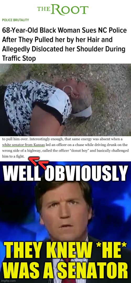 she wasn't anybody | <<; WELL OBVIOUSLY; THEY KNEW *HE*
WAS A SENATOR | image tagged in blank white template,confused tucker carlson | made w/ Imgflip meme maker