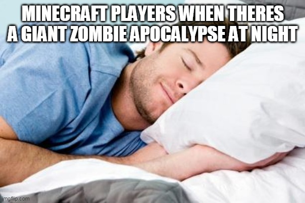 sleeping | MINECRAFT PLAYERS WHEN THERES A GIANT ZOMBIE APOCALYPSE AT NIGHT | image tagged in sleeping | made w/ Imgflip meme maker