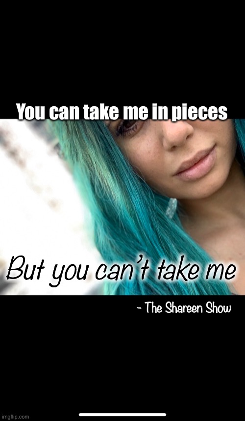 Mental health | You can take me in pieces; But you can’t take me; - The Shareen Show | image tagged in abuse,awareness,help,fighter,health | made w/ Imgflip meme maker