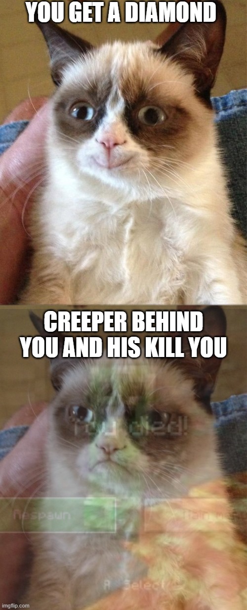 minecraft be like | YOU GET A DIAMOND; CREEPER BEHIND YOU AND HIS KILL YOU | image tagged in memes,grumpy cat happy,grumpy cat | made w/ Imgflip meme maker