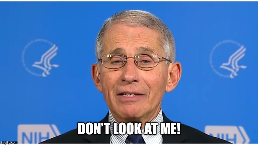 Dr Fauci | DON’T LOOK AT ME! | image tagged in dr fauci | made w/ Imgflip meme maker