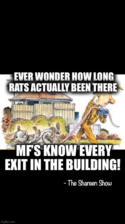 True thoughts | EVER WONDER HOW LONG RATS ACTUALLY BEEN THERE; MF’S KNOW EVERY EXIT IN THE BUILDING! - The Shareen Show | image tagged in rats,memes,funny memes,truth,writer,funny | made w/ Imgflip meme maker