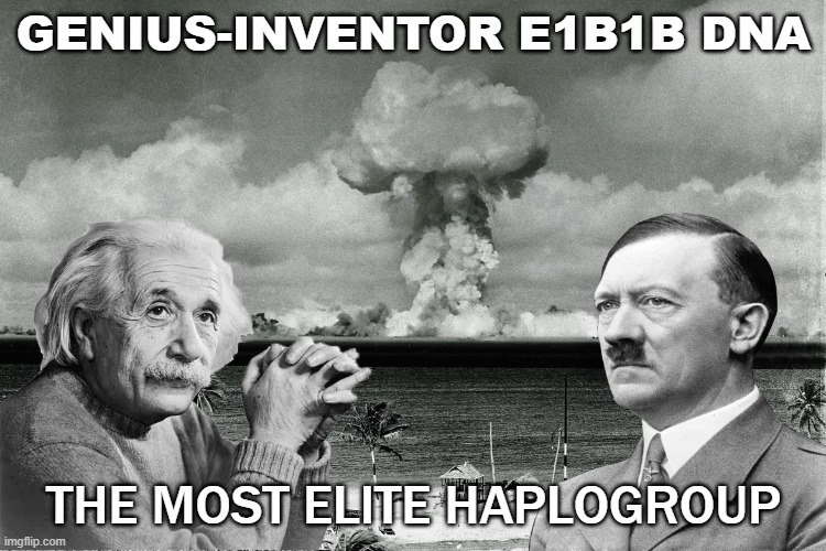 Genius-Inventor E1b1b DNA; The Most Elite Haplogroup | GENIUS-INVENTOR E1B1B DNA; THE MOST ELITE HAPLOGROUP | image tagged in genius-inventor e1b1b y-dna the most elite haplogroup | made w/ Imgflip meme maker