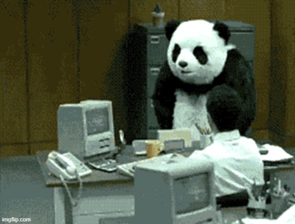 The angriest Panda i've ever seen | image tagged in angry panda | made w/ Imgflip meme maker