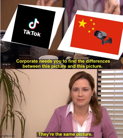 tiktok | image tagged in memes,they're the same picture,tik tok,china,made in china | made w/ Imgflip meme maker