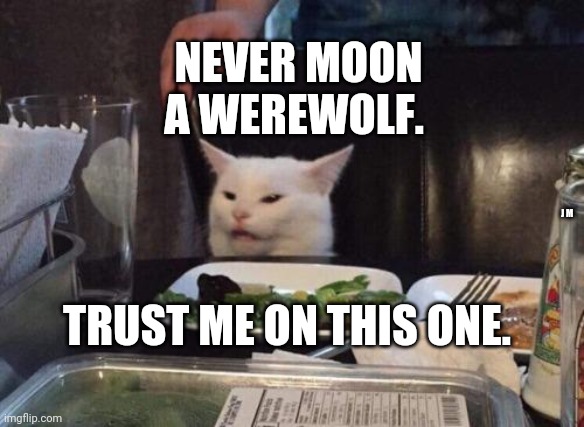 Salad cat | NEVER MOON A WEREWOLF. J M; TRUST ME ON THIS ONE. | image tagged in salad cat | made w/ Imgflip meme maker
