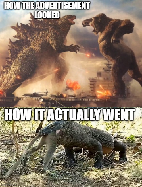 HOW THE ADVERTISEMENT
LOOKED; HOW IT ACTUALLY WENT | image tagged in godzilla vs kong | made w/ Imgflip meme maker