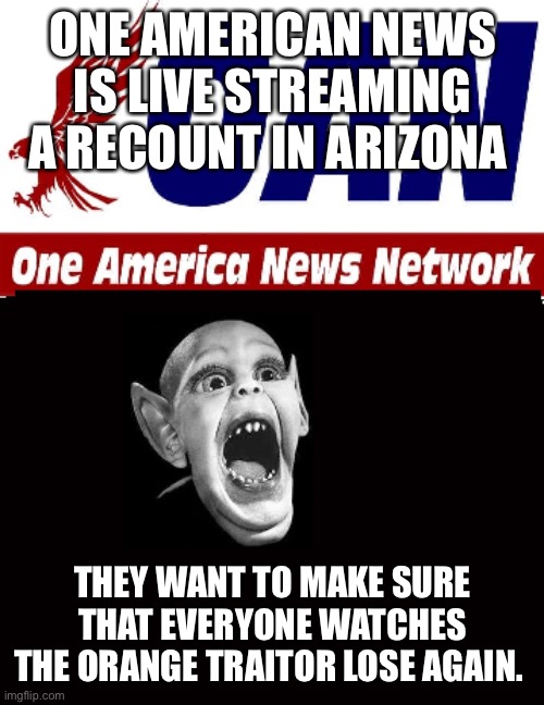 OAN batboy | ONE AMERICAN NEWS IS LIVE STREAMING A RECOUNT IN ARIZONA; THEY WANT TO MAKE SURE THAT EVERYONE WATCHES THE ORANGE TRAITOR LOSE AGAIN. | image tagged in oan batboy | made w/ Imgflip meme maker