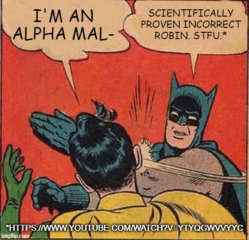 Batman Slapping Robin Meme | I'M AN ALPHA MAL-; SCIENTIFICALLY PROVEN INCORRECT
ROBIN. STFU.*; *HTTPS://WWW.YOUTUBE.COM/WATCH?V=YTYQGWVVYYC | image tagged in memes,batman slapping robin | made w/ Imgflip meme maker