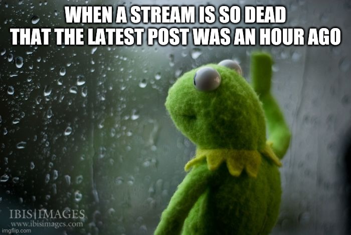 kermit window | WHEN A STREAM IS SO DEAD THAT THE LATEST POST WAS AN HOUR AGO | image tagged in kermit window,e | made w/ Imgflip meme maker