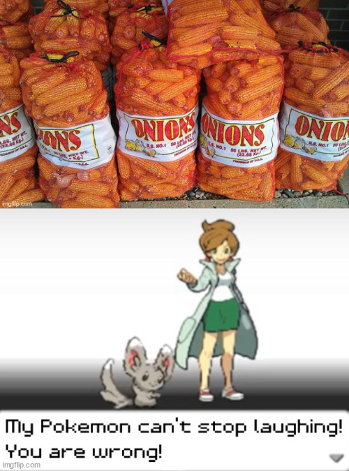 The onions are actually corn? | image tagged in my pokemon can't stop laughing you are wrong,memes,funny,corn,onions,oops | made w/ Imgflip meme maker