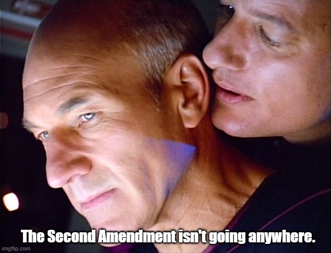 Picard Q Whisper | The Second Amendment isn't going anywhere. | image tagged in picard q whisper | made w/ Imgflip meme maker