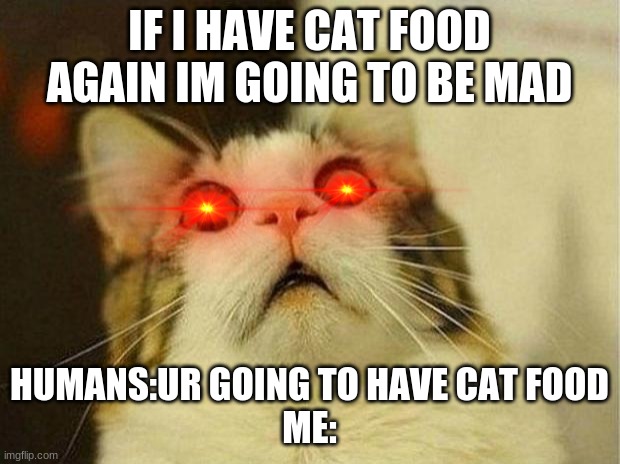 im angry if i have cat food | IF I HAVE CAT FOOD AGAIN IM GOING TO BE MAD; HUMANS:UR GOING TO HAVE CAT FOOD
ME: | image tagged in memes,scared cat | made w/ Imgflip meme maker