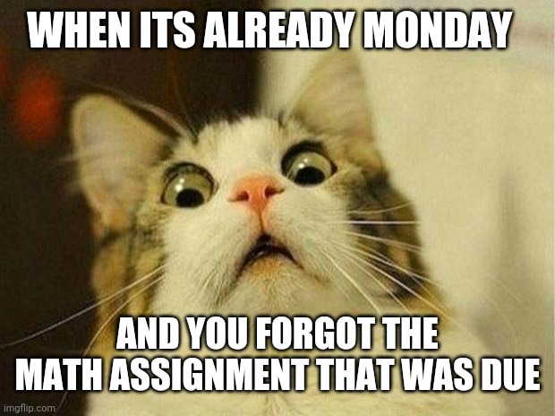 Math assignment | WHEN ITS ALREADY MONDAY; AND YOU FORGOT THE MATH ASSIGNMENT THAT WAS DUE | image tagged in memes,scared cat | made w/ Imgflip meme maker