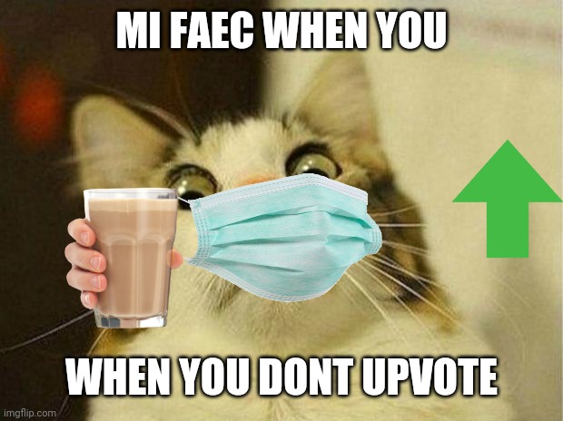 Scared Cat Meme | MI FAEC WHEN YOU; WHEN YOU DONT UPVOTE | image tagged in memes,scared cat | made w/ Imgflip meme maker