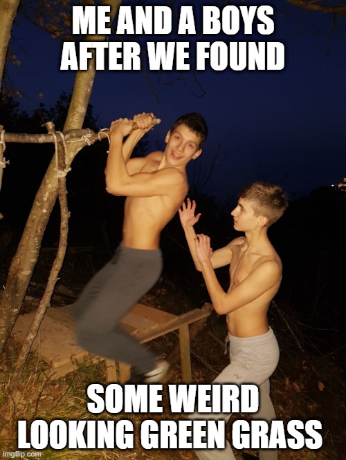 ME AND A BOYS AFTER WE FOUND; SOME WEIRD LOOKING GREEN GRASS | image tagged in me and the boys | made w/ Imgflip meme maker