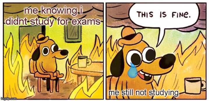 This Is Fine Meme | me knowing i didnt study for exams; me still not studying | image tagged in memes,this is fine,still waiting | made w/ Imgflip meme maker
