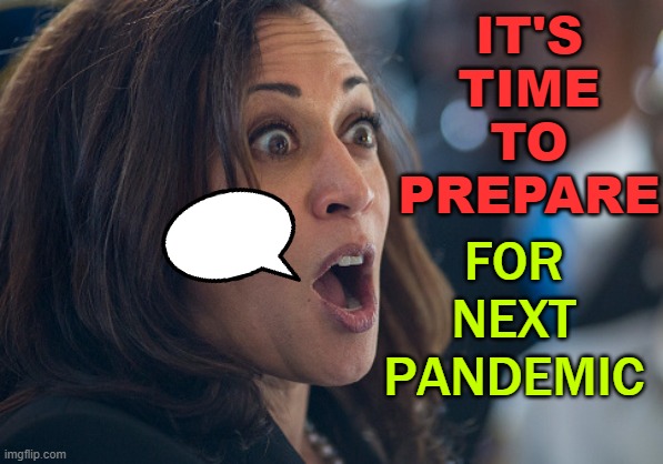 VP Kamala Harris tells U.N. body it's time to prepare for next pandemic | IT'S
TIME
TO
PREPARE; FOR NEXT PANDEMIC | image tagged in kamala harris | made w/ Imgflip meme maker