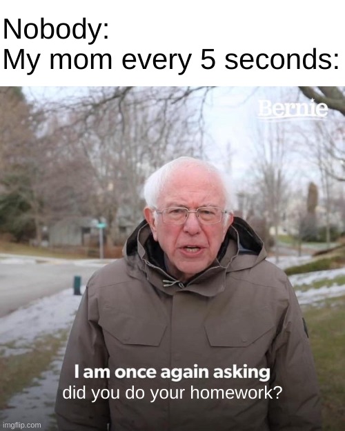 Bernie I Am Once Again Asking For Your Support | Nobody:
My mom every 5 seconds:; did you do your homework? | image tagged in memes,bernie i am once again asking for your support | made w/ Imgflip meme maker