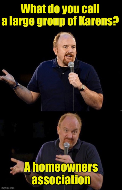 Bad pun Louis CK | What do you call a large group of Karens? A homeowners association | image tagged in bad pun louis ck | made w/ Imgflip meme maker