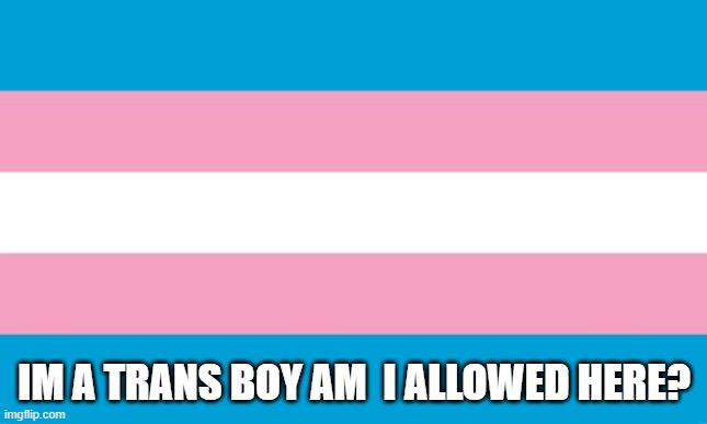 Transgender Flag | IM A TRANS BOY AM  I ALLOWED HERE? | image tagged in transgender flag | made w/ Imgflip meme maker