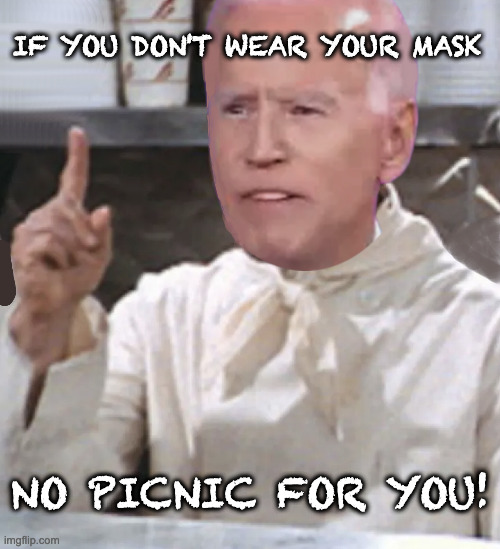 INDEPENDENCE DAY? | IF YOU DON'T WEAR YOUR MASK; NO PICNIC FOR YOU! | image tagged in 4th of july,independence day,declaration of independence,dictator biden | made w/ Imgflip meme maker