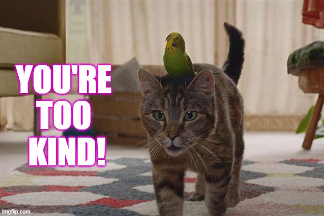 YOU'RE TOO  KIND! | made w/ Imgflip meme maker