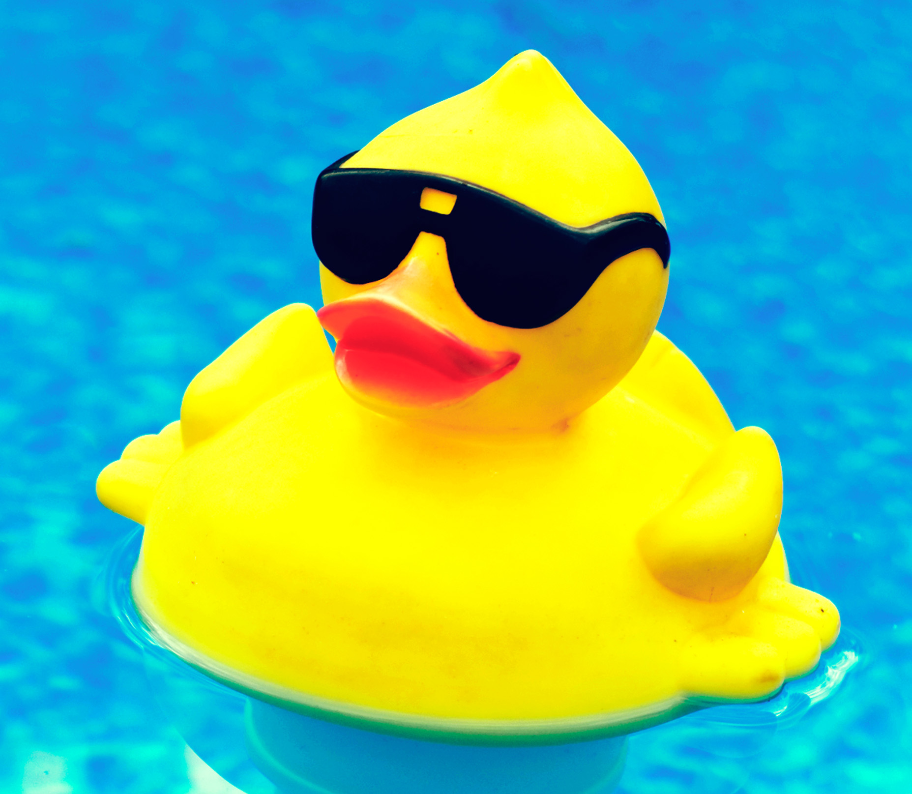 High Quality Rubber Duck Blank Meme Template