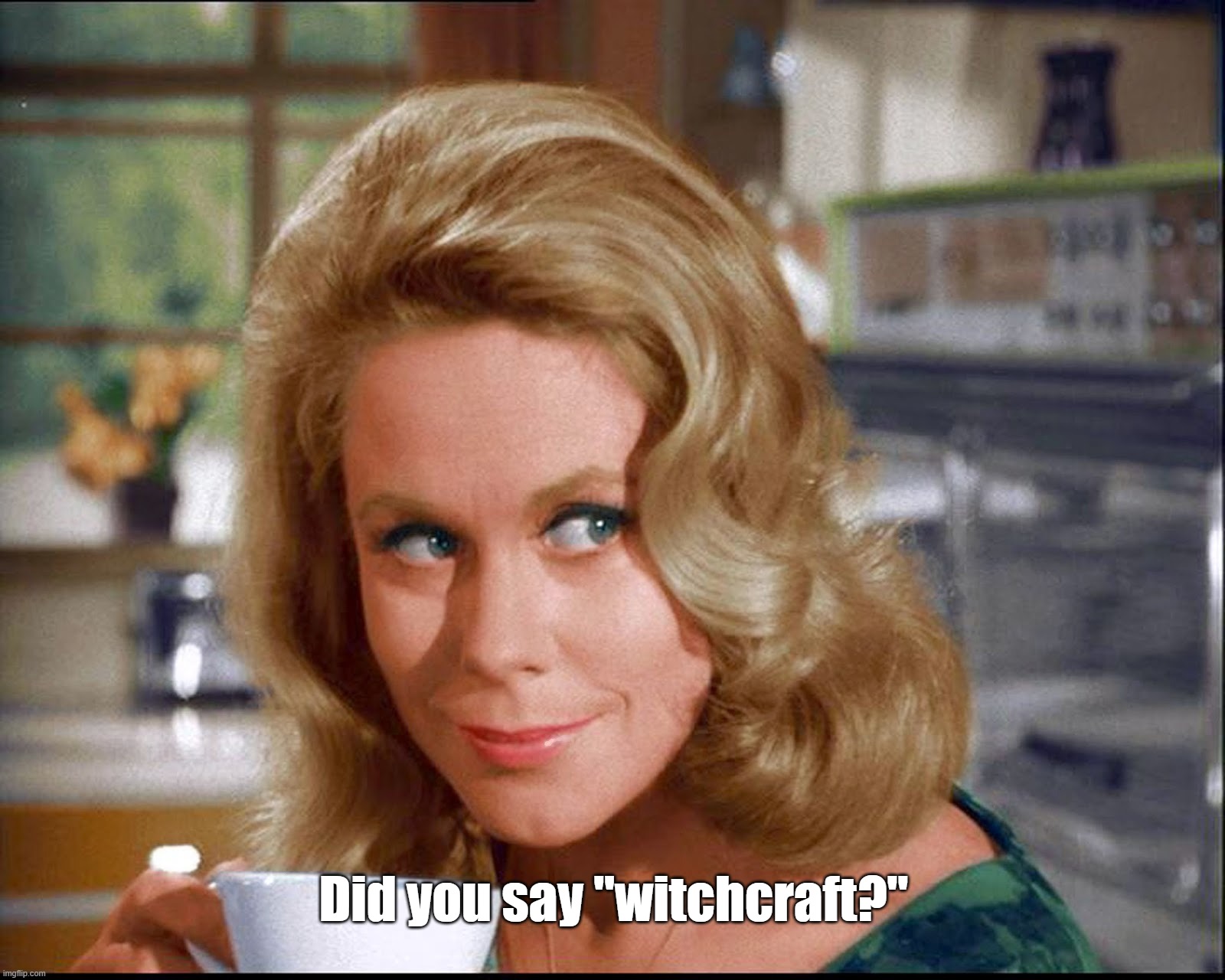 Samantha bewitched | Did you say "witchcraft?" | image tagged in samantha bewitched | made w/ Imgflip meme maker