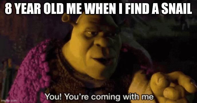 Hehe | 8 YEAR OLD ME WHEN I FIND A SNAIL | image tagged in shrek your coming with me,memes,funny,funny memes | made w/ Imgflip meme maker