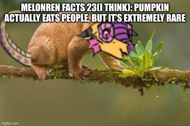 MELONREN FACTS 23(I THINK): PUMPKIN ACTUALLY EATS PEOPLE, BUT IT’S EXTREMELY RARE | image tagged in i require death | made w/ Imgflip meme maker