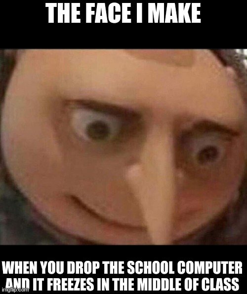 frick-... | THE FACE I MAKE; WHEN YOU DROP THE SCHOOL COMPUTER AND IT FREEZES IN THE MIDDLE OF CLASS | image tagged in gru meme,oh no | made w/ Imgflip meme maker