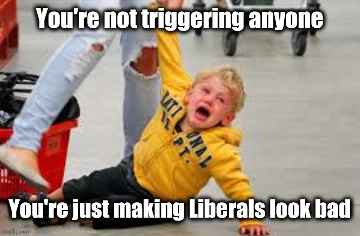Tantrum store | You're not triggering anyone You're just making Liberals look bad | image tagged in tantrum store | made w/ Imgflip meme maker