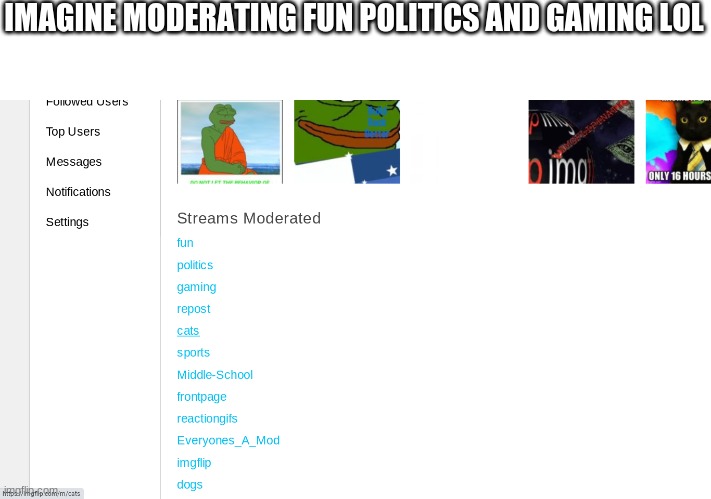 He's a global Mod | IMAGINE MODERATING FUN POLITICS AND GAMING LOL | made w/ Imgflip meme maker