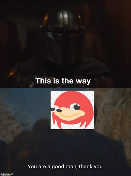 This is the way | image tagged in this is the way | made w/ Imgflip meme maker