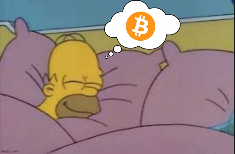 how i sleep homer simpson | image tagged in how i sleep homer simpson,cryptocurrency,crypto,btc,bitcoin | made w/ Imgflip meme maker