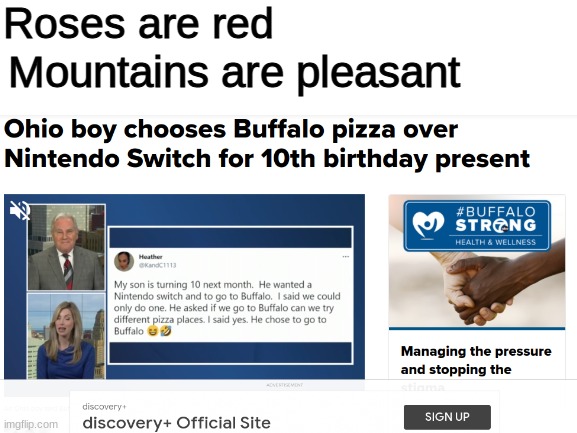 I honestly think he is missing out but will forever honor his decision | Roses are red; Mountains are pleasant | image tagged in nintendo,nintendo switch,mario | made w/ Imgflip meme maker