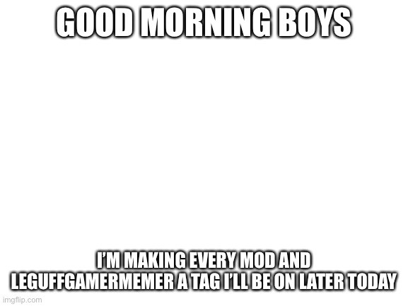 Blank White Template | GOOD MORNING BOYS; I’M MAKING EVERY MOD AND LEGUFFGAMERMEMER A TAG I’LL BE ON LATER TODAY | image tagged in blank white template,leguffgamermemer,angel_official | made w/ Imgflip meme maker