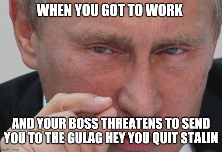 Putin | WHEN YOU GOT TO WORK; AND YOUR BOSS THREATENS TO SEND YOU TO THE GULAG HEY YOU QUIT STALIN | image tagged in work sucks | made w/ Imgflip meme maker