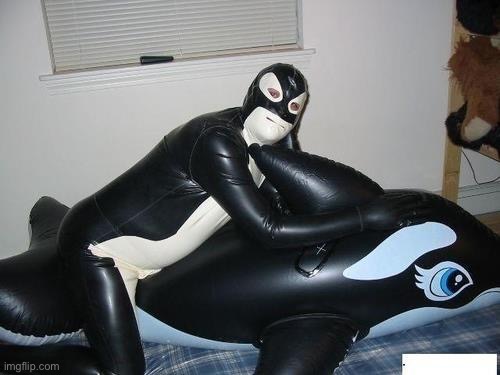 Atheist Latex Orca | image tagged in atheist latex orca | made w/ Imgflip meme maker