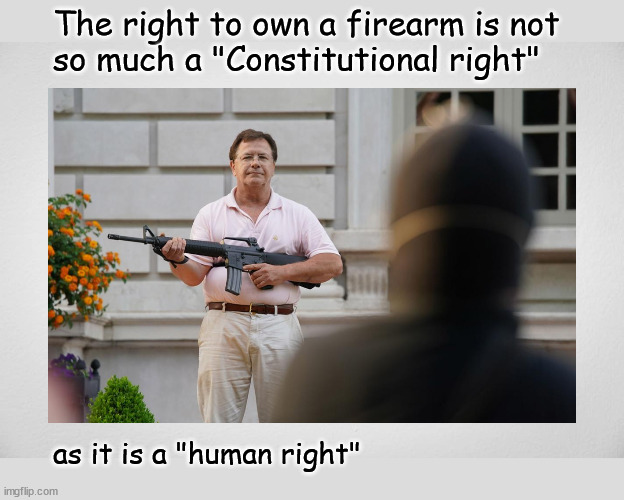 the right to own a firearm is not a Constitutionally protected right | The right to own a firearm is not
so much a "Constitutional right"; as it is a "human right" | image tagged in gun control,politics | made w/ Imgflip meme maker