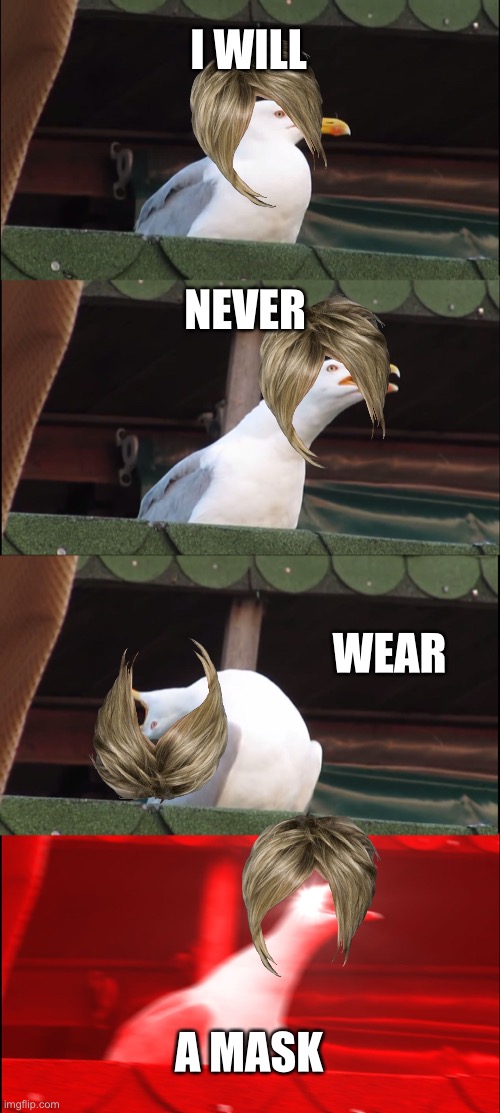 Wear your mask seagull Karen | I WILL; NEVER; WEAR; A MASK | image tagged in memes,inhaling seagull | made w/ Imgflip meme maker